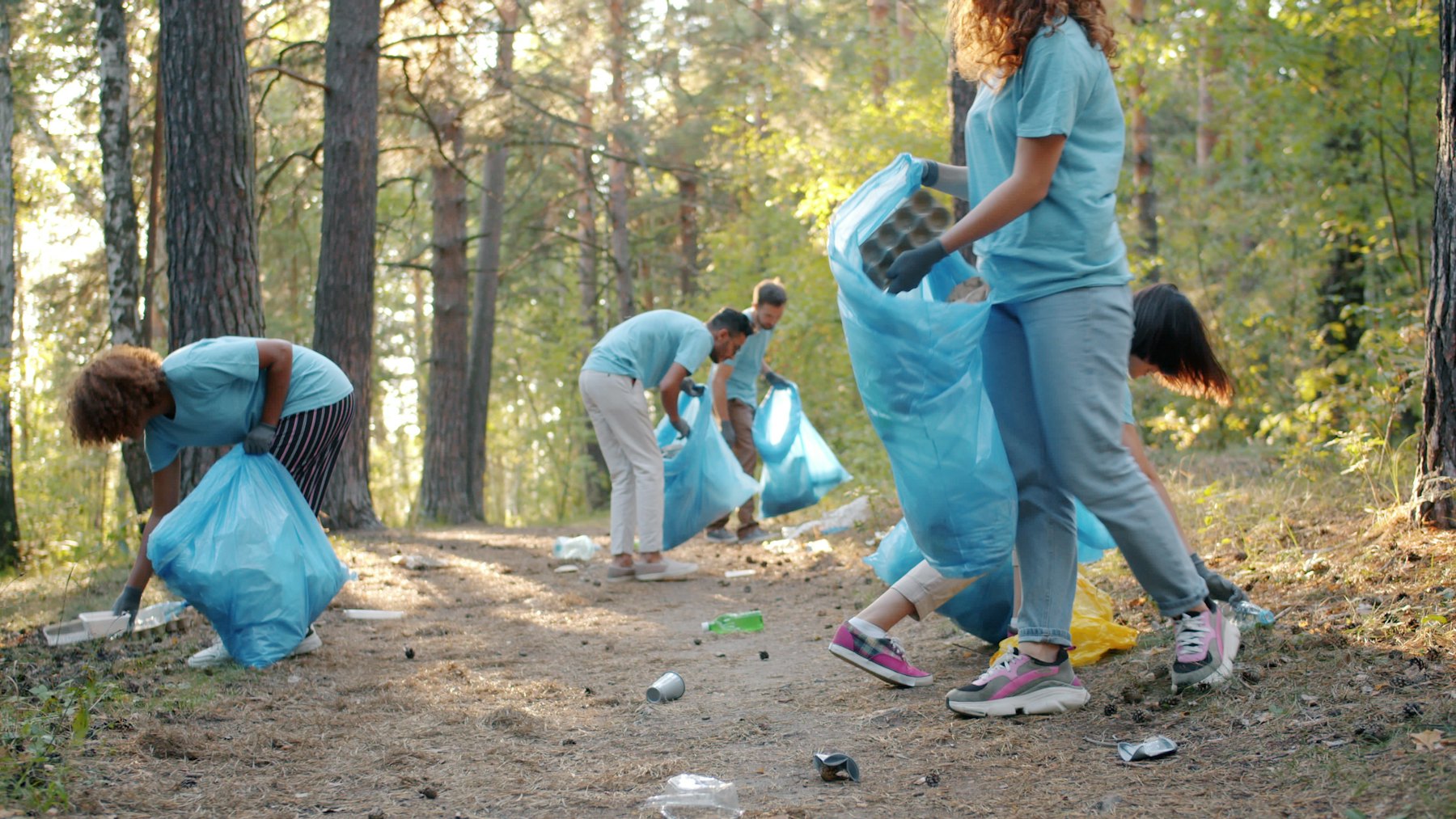 Volunteers in gloves picking up litter along a forest trail
